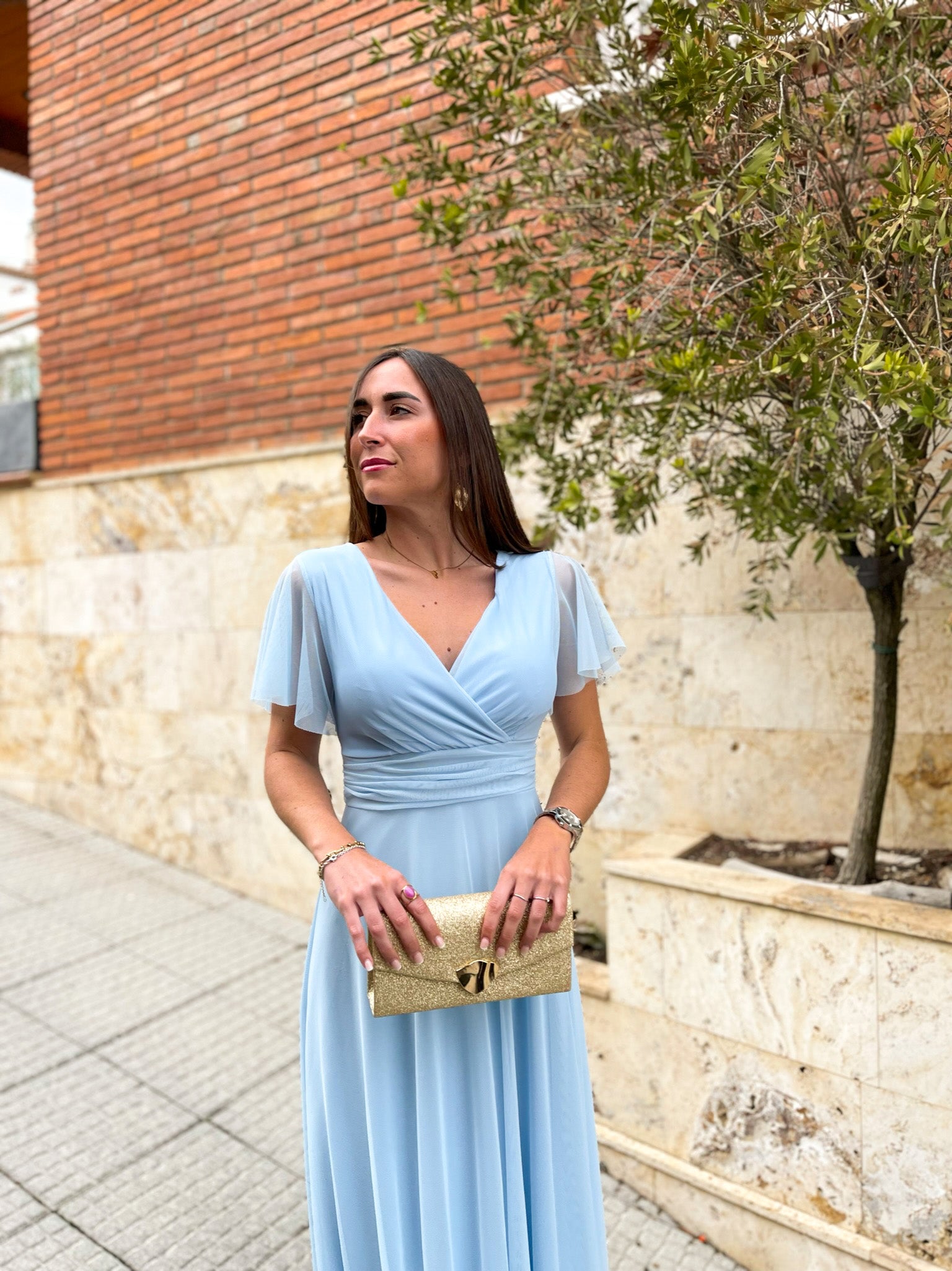 Sky sleeve tulle dress