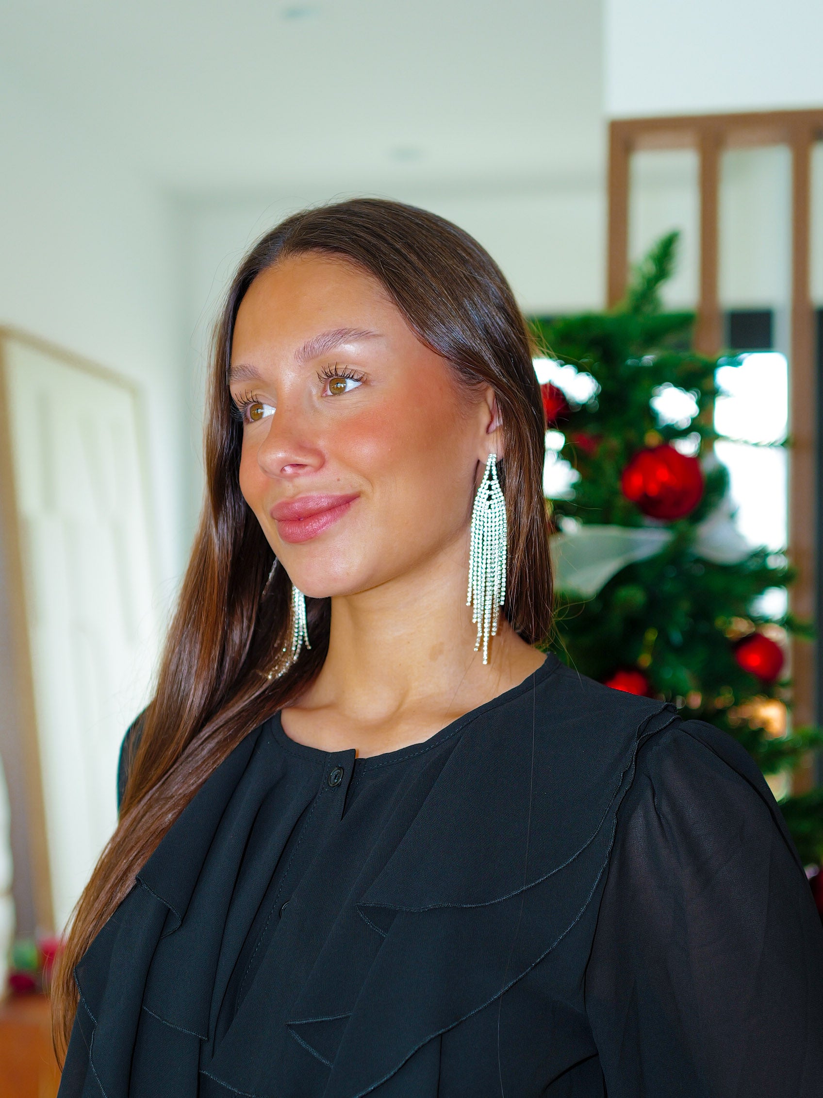 BOUCLES D'OREILLES lâche argentées