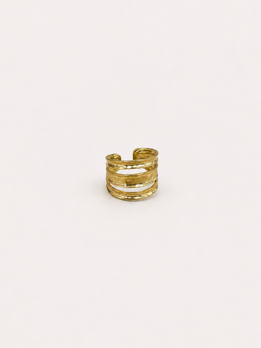 Anello con fasce dorate