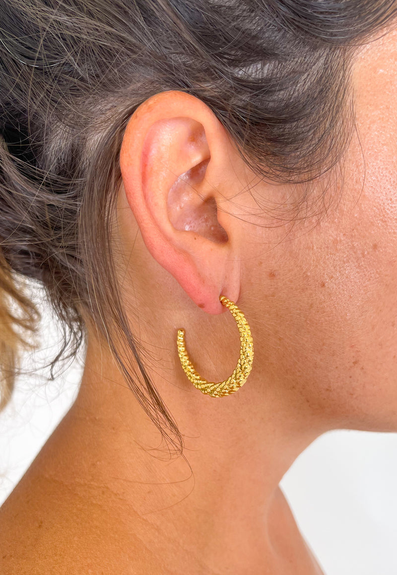 Gold semi hoop earrings