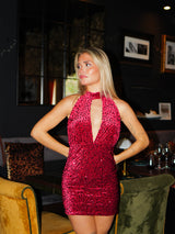 Burgundy velvet glitter neckline dress