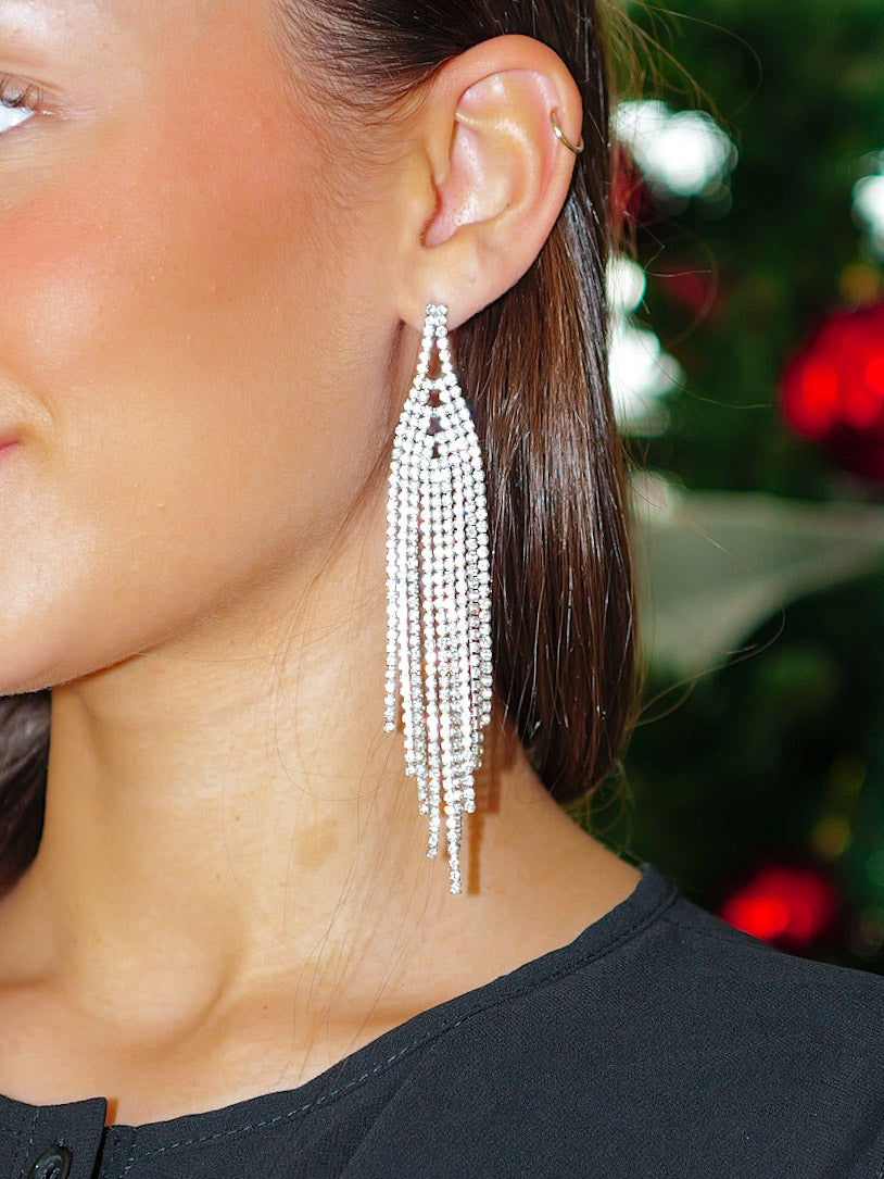 BOUCLES D'OREILLES lâche argentées